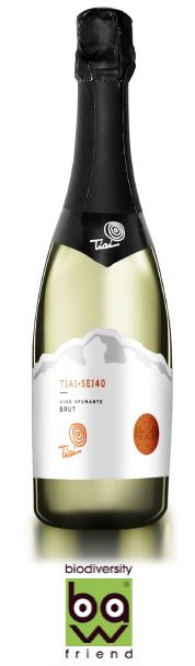 Spumante Brut – Tiai Sei40 - 6 x 75 cl